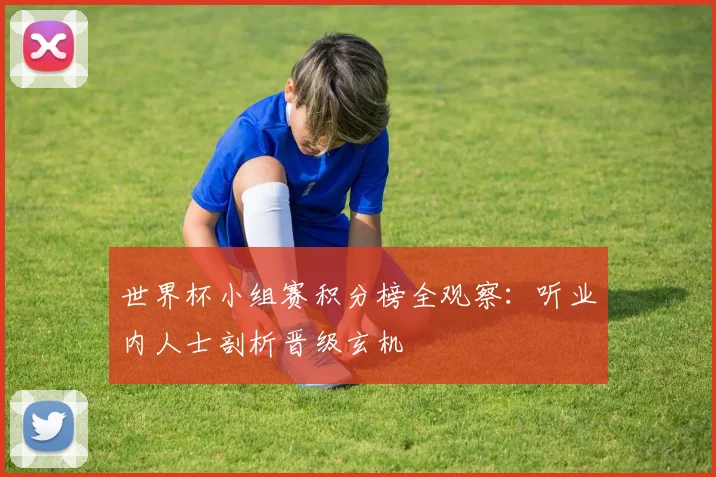 世界杯小组赛积分榜全观察：听业内人士剖析晋级玄机