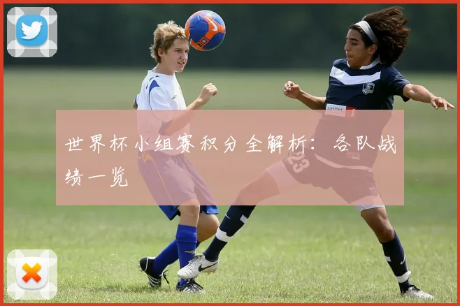 世界杯小组赛积分全解析：各队战绩一览