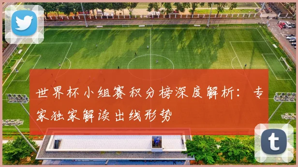 世界杯小组赛积分榜深度解析：专家独家解读出线形势