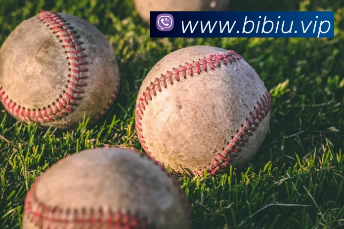 华体在线登录入口服务体系